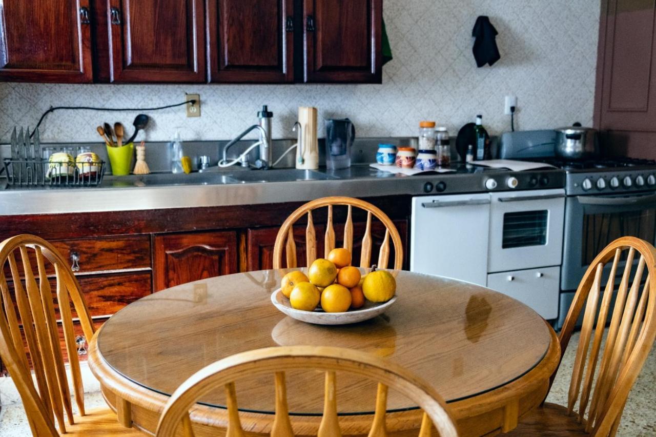Margaritas Eco Haus Hotel Queretaro Ngoại thất bức ảnh