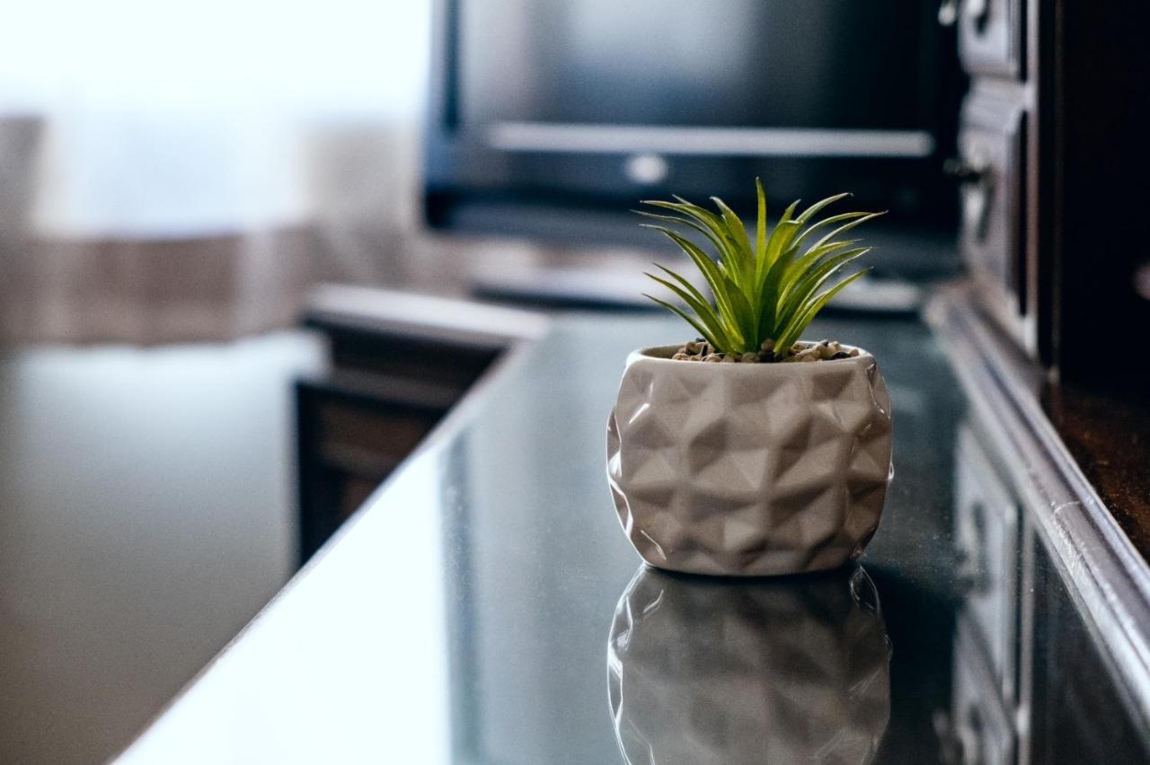 Margaritas Eco Haus Hotel Queretaro Ngoại thất bức ảnh